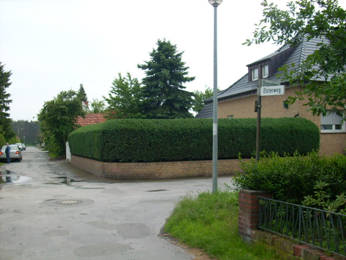 2007